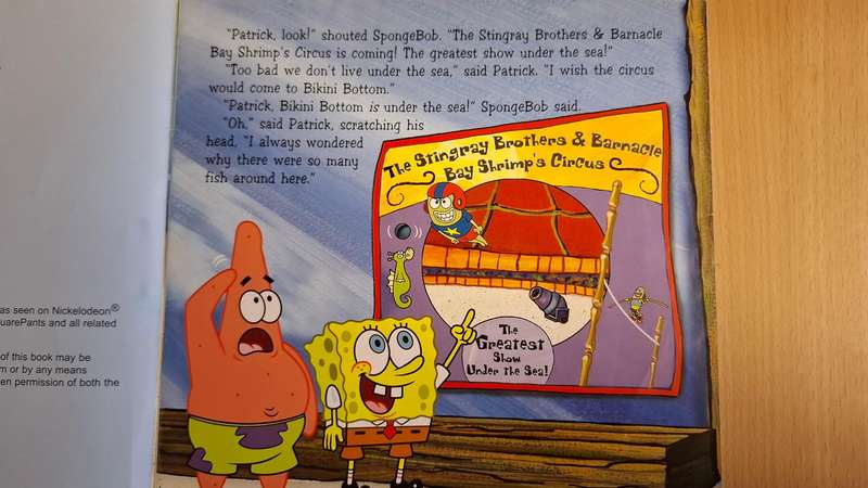 Spongebob Squarepants - The Amazing SpongeBobini (Paperback)