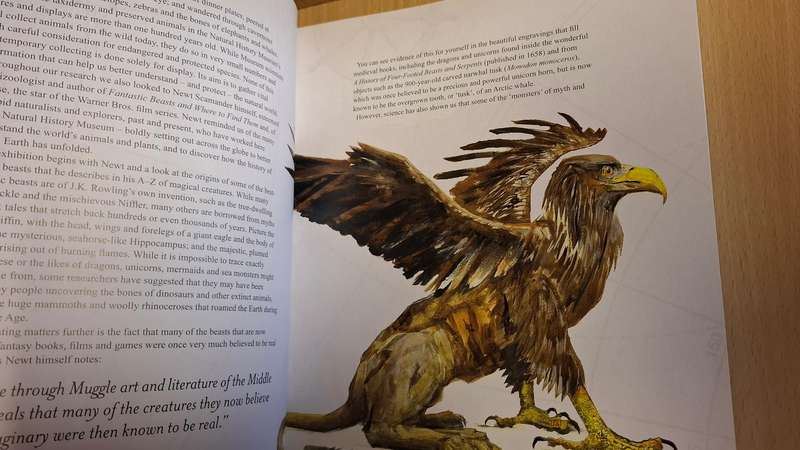 Fantastic Beasts - The Wonder of Nature - Amazing Animals and the Magical Creatures of Harry Potter