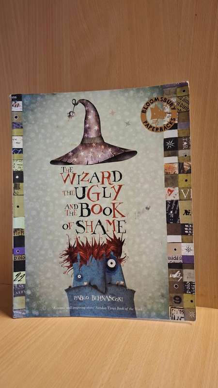 The Wizard, The Ugly and The Book of Shame : Pablo Bernasconi  (Paperback)