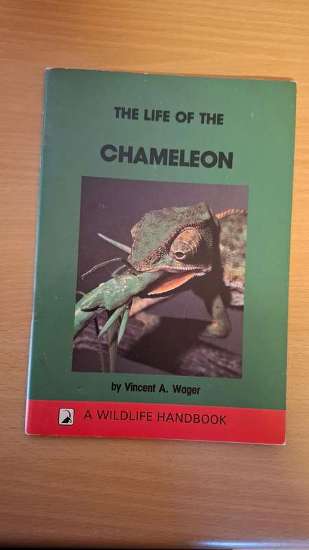 The Life of The Chameleon by Vincent A. Wager (A Wildlife Handbook)