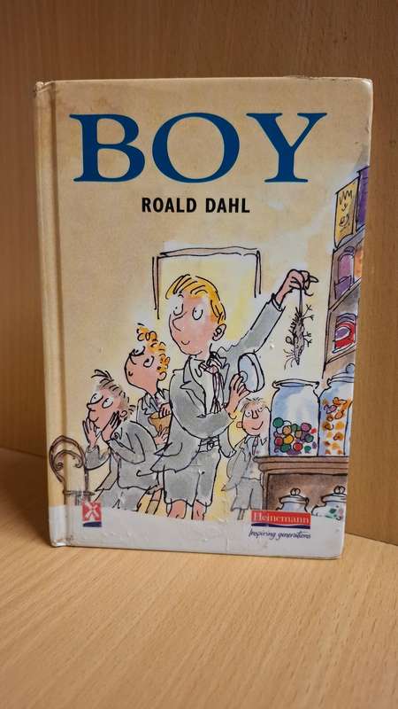 Boy : Roald Dahl (Hardcover)
