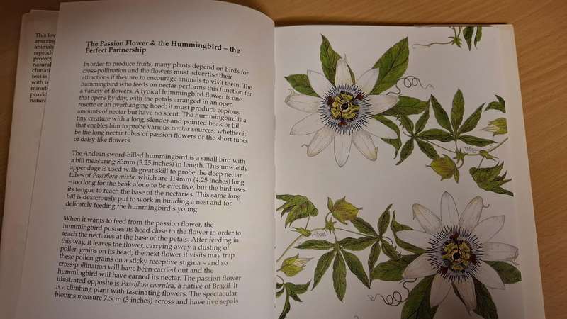 Nature`s Secret: Mari Friend (Hardcover)