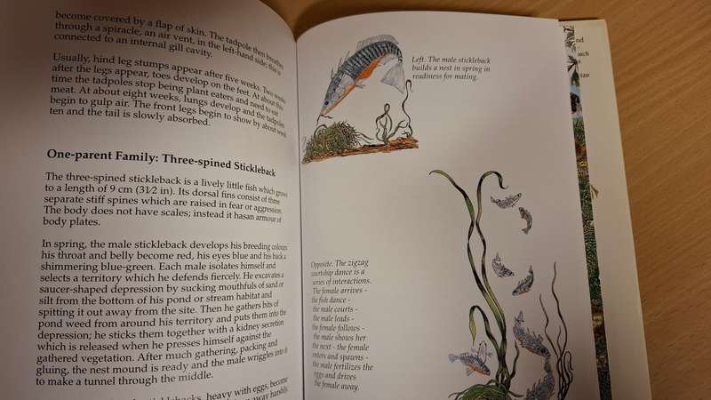 Nature`s Secret: Mari Friend (Hardcover)
