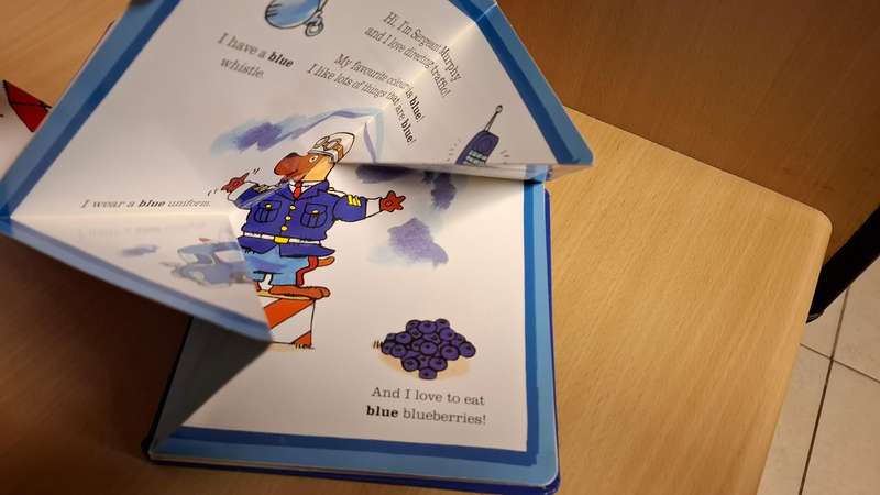 Our Favourite Colours ! Richard Scarry (Hardcover)  A Fold-Out Surprise Book