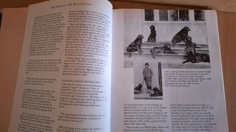 The History of Retrievers - Compiled from the Scrapbooks of H. Reginald Cooke  (Hardcover)