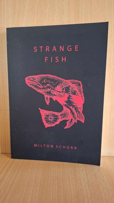 Strange Fish : Milton Schorr (Paperback)