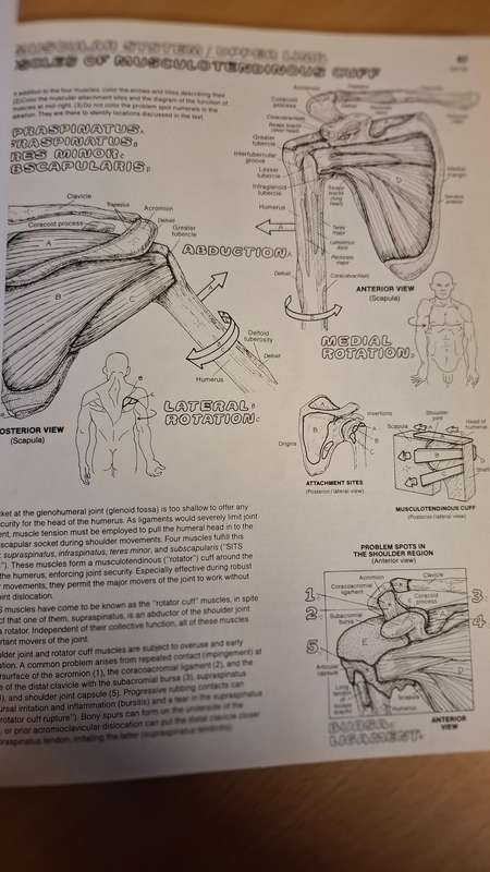 The Anatomy Coloring Book : Wynn Kapit/Lawrence M. Elson  (Paperback)