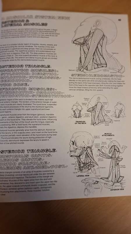 The Anatomy Coloring Book : Wynn Kapit/Lawrence M. Elson  (Paperback)