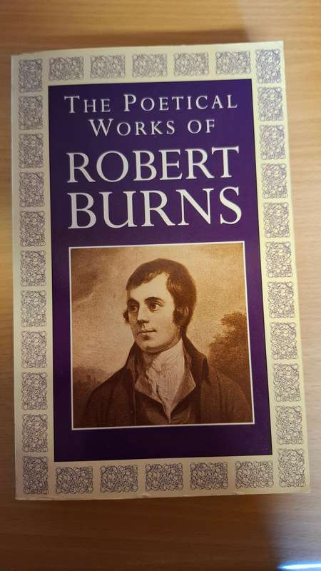 The Poetical Works of Robert Burns  (Paperback)