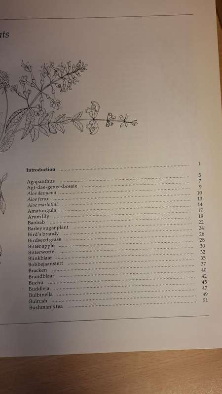 Indigenous Healing Plants : Margaret Roberts  (Hardcover)
