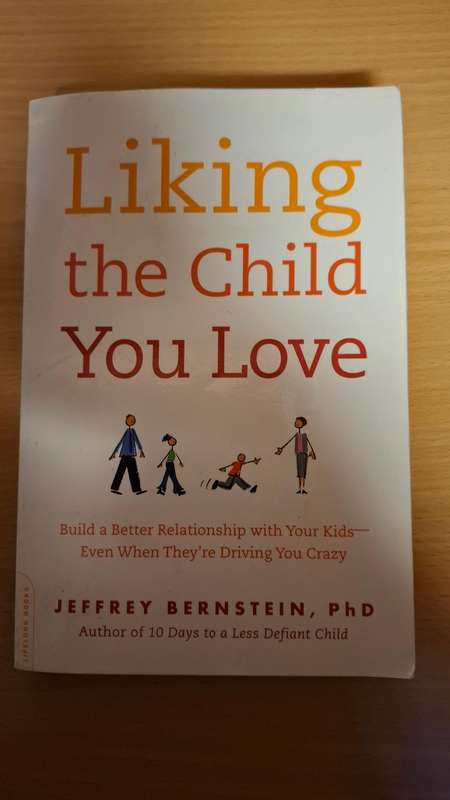 Liking the Child You Love : Jeffrey Bernstein, PhD  (Paperback)