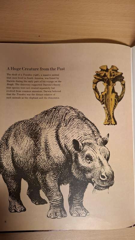 LIFE Young Readers Library - Evolution : Ruth Moore  (Hardcover)