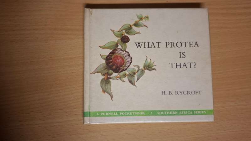 What Protea is That? : H.B. Rycroft  (Hardcover)