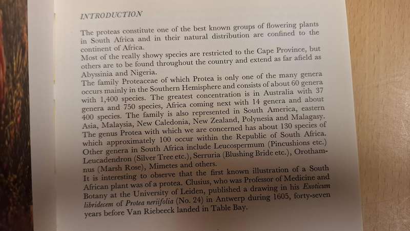 What Protea is That? : H.B. Rycroft  (Hardcover)