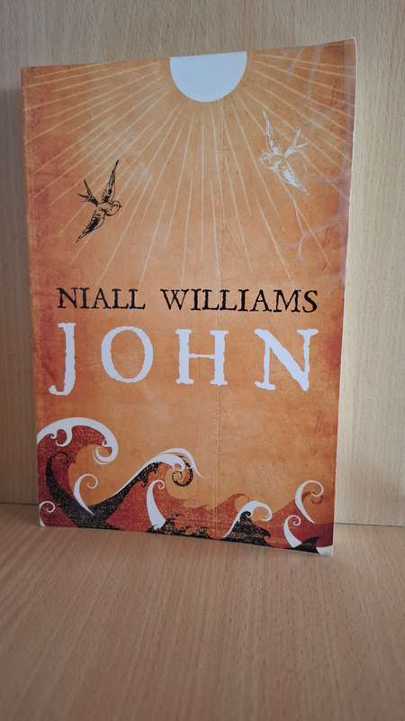 John : Niall Williams  (Paperback)