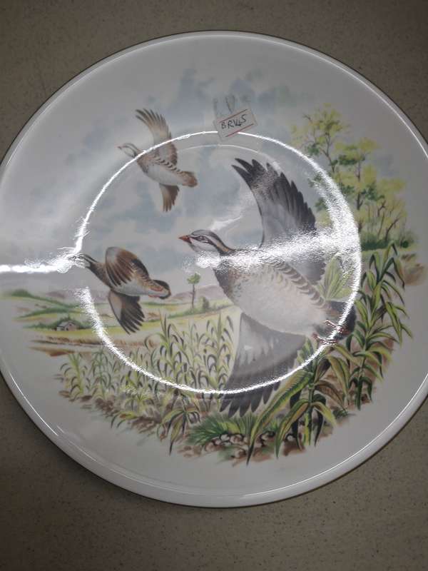 Royal worcester displsay bird scene wall plate