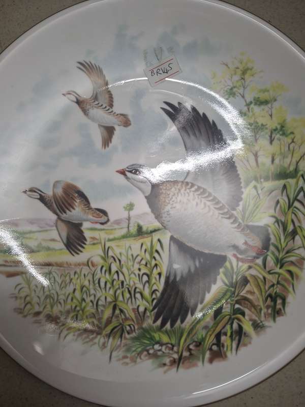 Royal worcester displsay bird scene wall plate