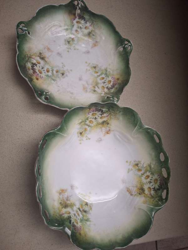 A pair of stunning vintage floarl display bowls