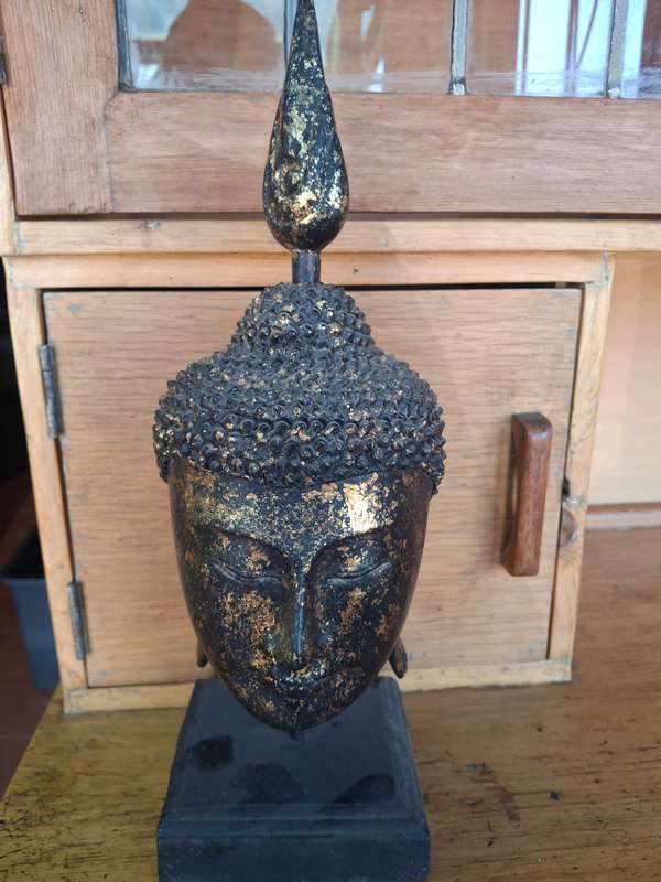 Stunning thailand buddha head