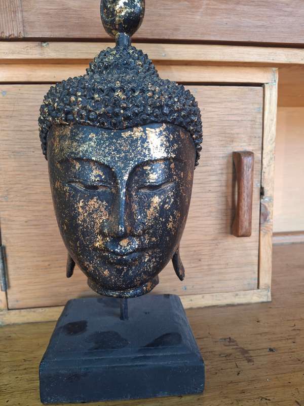 Stunning thailand buddha head
