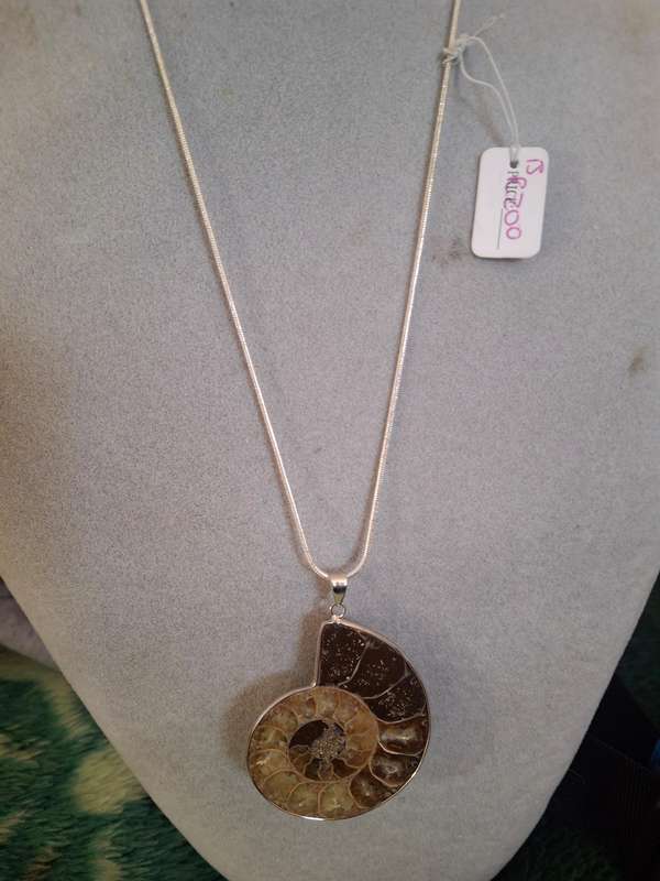Fosil pendant on costume chain