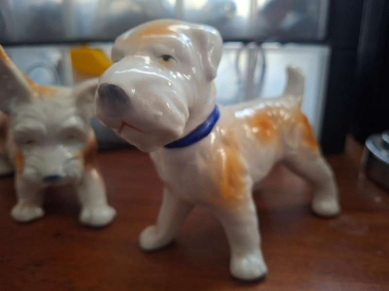 Twp cute procelian dog models