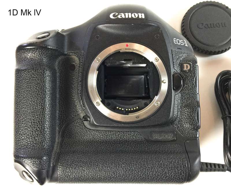 3x Canon 1D/1Ds EOS Digital Bodies