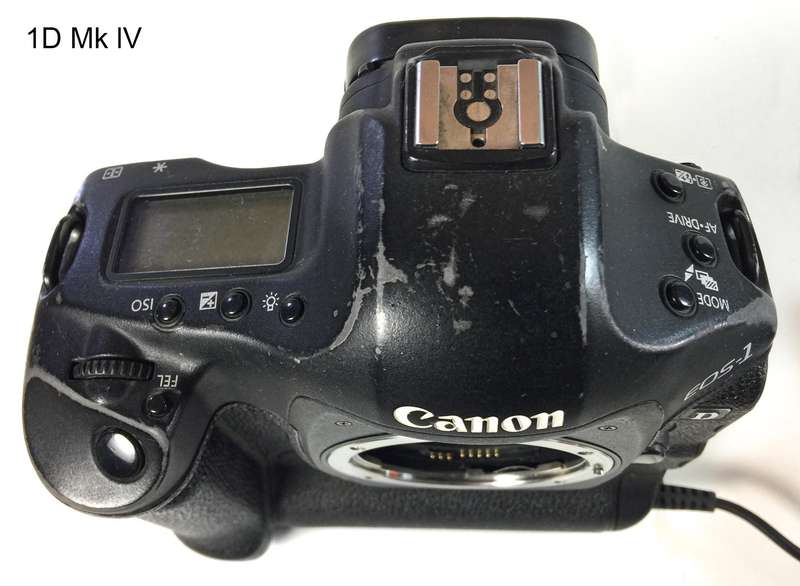 3x Canon 1D/1Ds EOS Digital Bodies