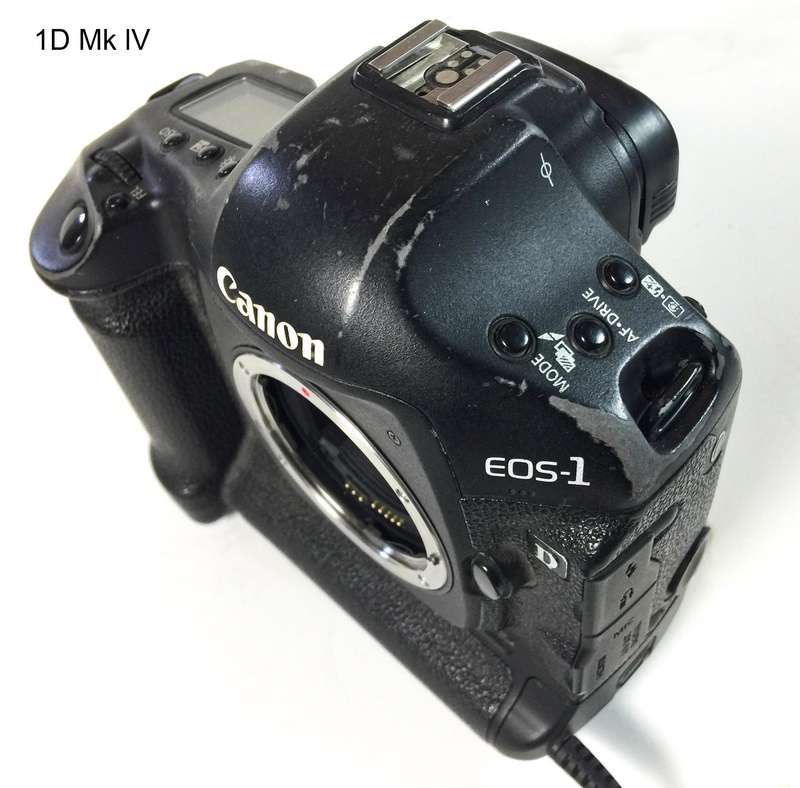 3x Canon 1D/1Ds EOS Digital Bodies