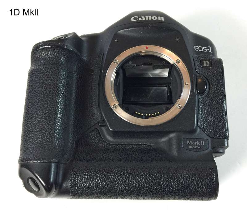 3x Canon 1D/1Ds EOS Digital Bodies