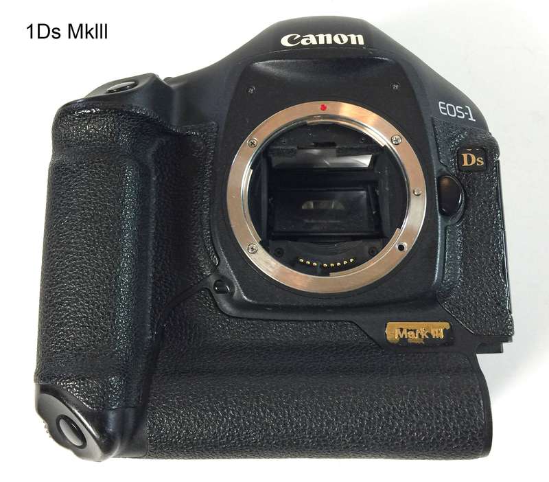 3x Canon 1D/1Ds EOS Digital Bodies