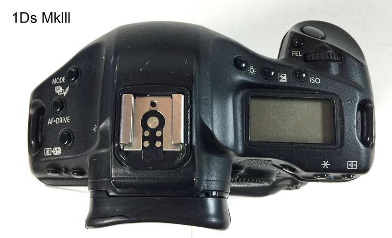 3x Canon 1D/1Ds EOS Digital Bodies