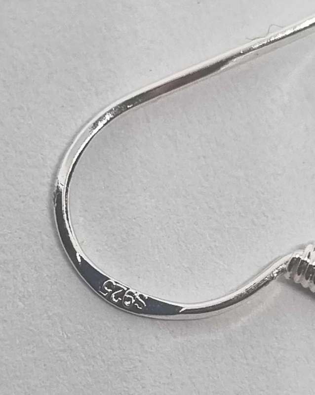 925 Silver Earrings