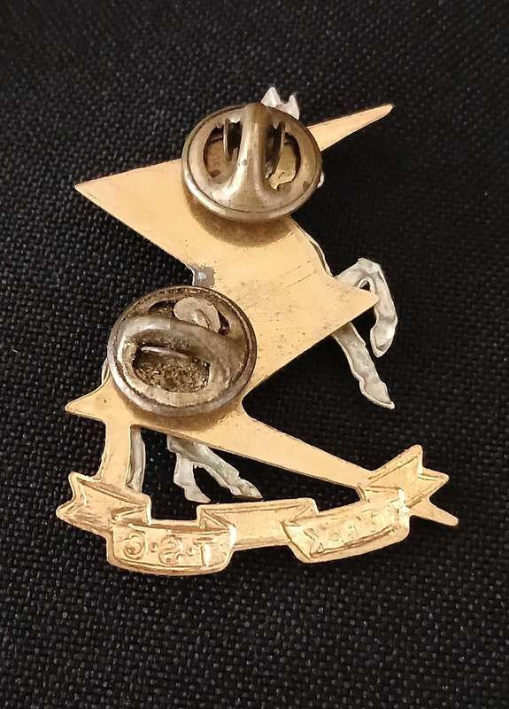 SADF TDK/TSC COLLAR BADGE                          L39