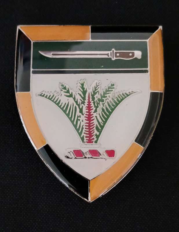 SWA SECTOR 10 TRAINING UNIT SHOULDER FLASH   ( SILVER )       ( SCARCE )    L40