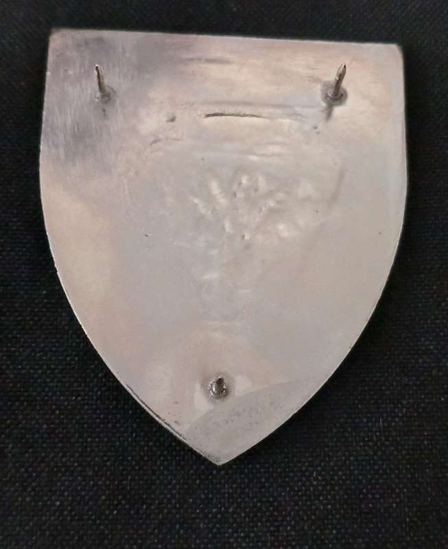 SWA SECTOR 10 TRAINING UNIT SHOULDER FLASH   ( SILVER )       ( SCARCE )    L40
