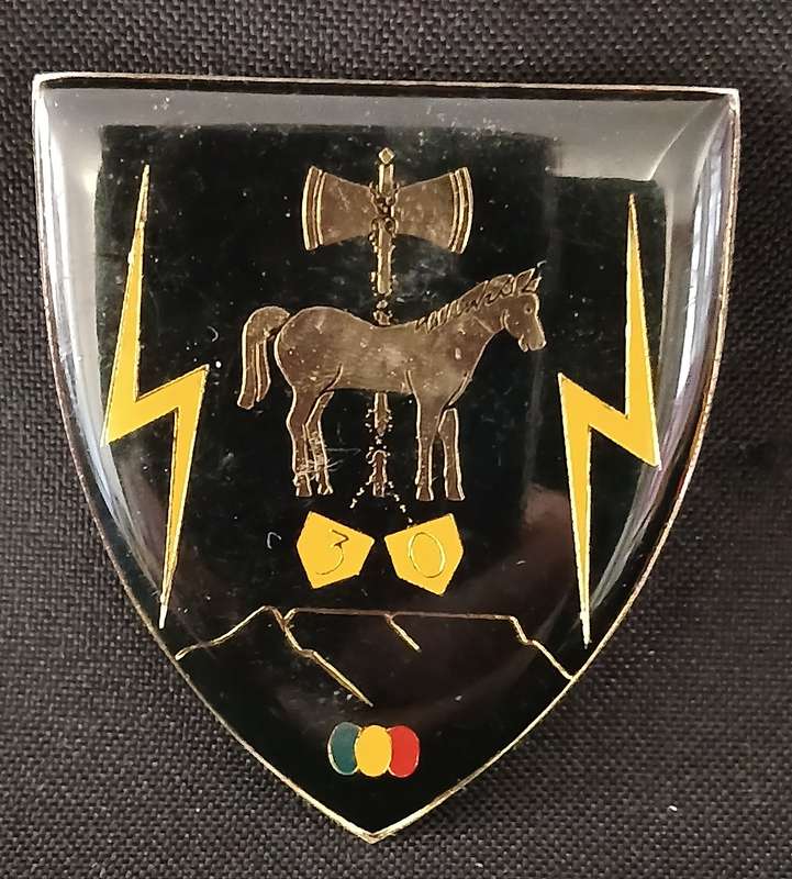 SADF   30 TECHNICAL FIELD WORKSHOP SHOULDER FLASH     ( ONE PIN REPAIRED )                 L42