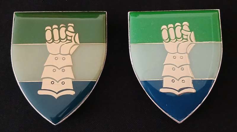 SADF 81 SIGNAL UNIT SHOULDER FLASH PAIR                     L52