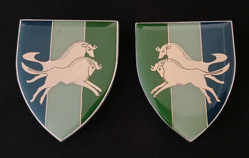 SADF NATAL SIGNAL UNIT SHOULDER FLASH PAIR  ( ONE PIN REPAIRED )               L54