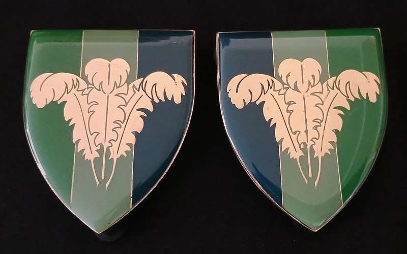 SADF SOUTHERN CAPE SIGNAL UNIT SHOULDER FLASH PAIR                    L56