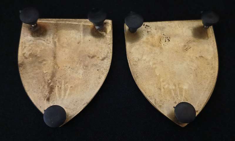 SADF SOUTHERN CAPE SIGNAL UNIT SHOULDER FLASH PAIR                    L56