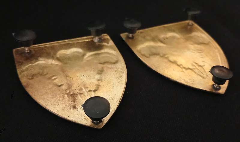 SADF SOUTHERN CAPE SIGNAL UNIT SHOULDER FLASH PAIR                    L56