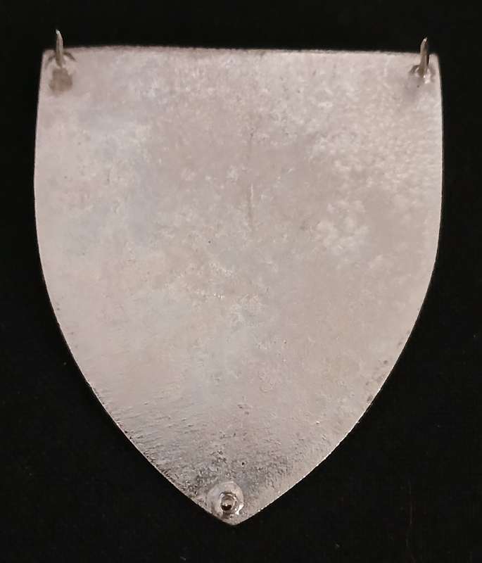 SADF Danie Theron Combat School Shoulder Flash                       L59