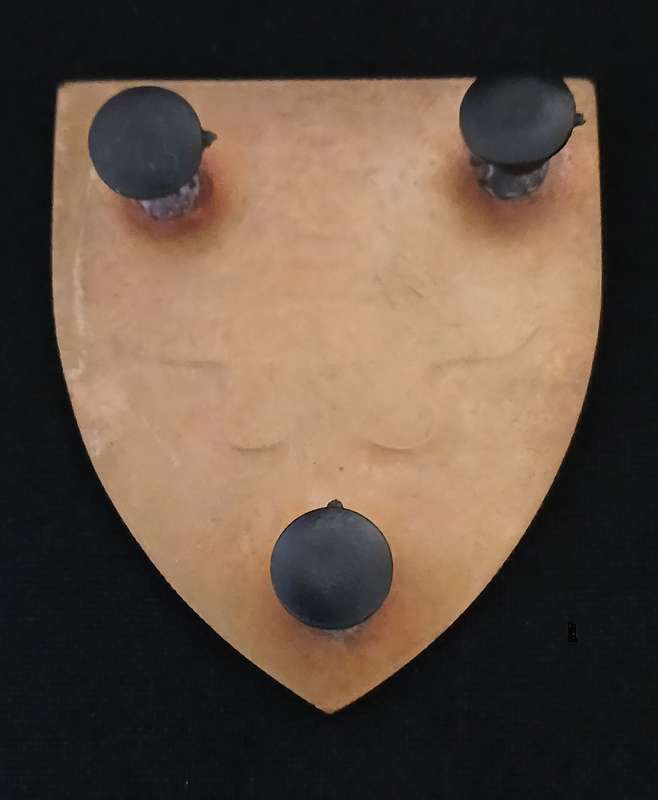 KENYA ARMY AIRBORNE 20 PARACHUTE BATTALION SHOULDER FLASH ( NOTE PINS REPAIRED )       L62