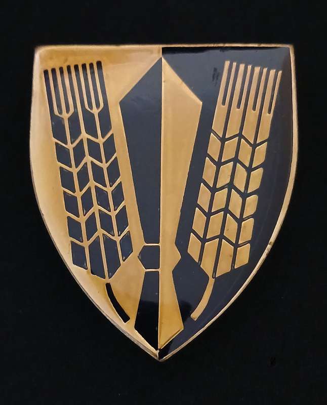 SADF CATERING CORPS SHOULDER FLASH                         L65