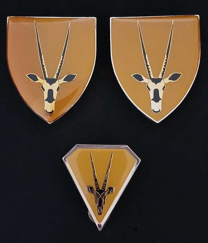 8 SA INFANTRY BATTALION SHOULDER FLASH PAIR + POCKET FLASH                     L66