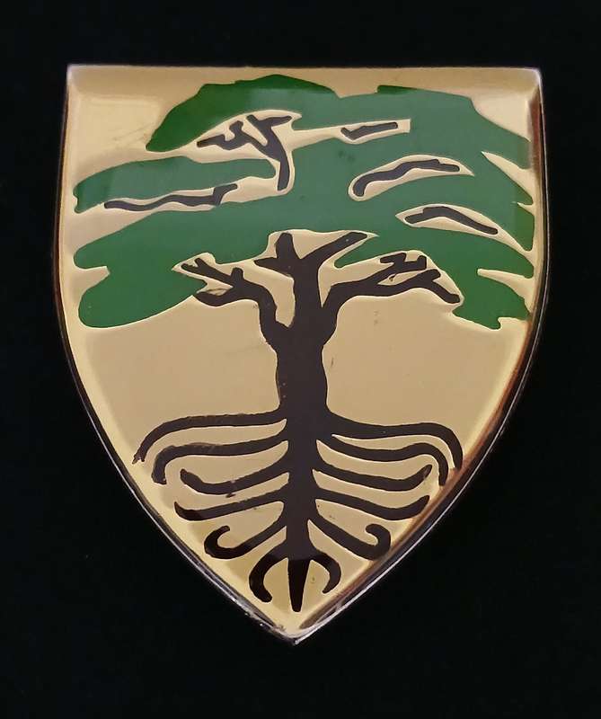 MAFIKENG / GOOSEN COMMANDO SHOULDER FLASH                              L68