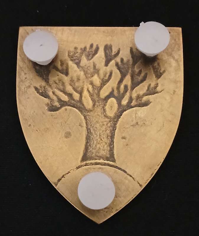 SWA KEETMANSHOOP COMMANDO SHOULDER FLASH                        L69