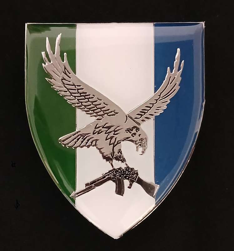 SWA 101 BATTALION RECONNAISSANCE COMPANY SHOULDER FLASH               L74