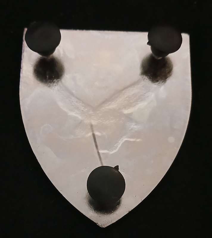 SWA 101 BATTALION RECONNAISSANCE COMPANY SHOULDER FLASH               L74